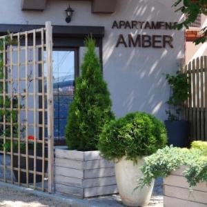 Apartament Amber