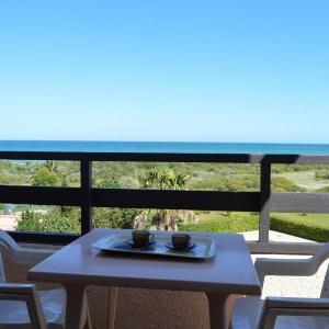 appartement 2 pièces mezzanine 6 couchages ST CYPRIEN PLAGE SC490-022