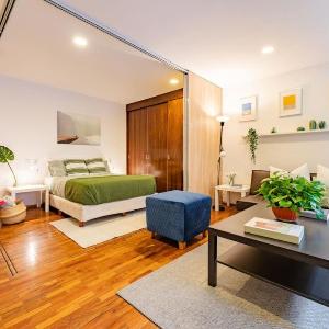 Polanco Studio Near Chapultepec Park & Museums
