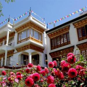 New Moon Guest House