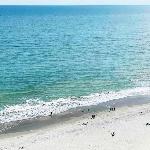 Apartment in Myrtle Beach South Carolina