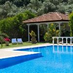 Villa Dimitris Apartments & Bungalows