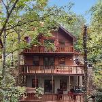 Forest Hollow Tennessee