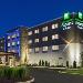 Hotels near Lorain County Fairgrounds - Holiday Inn Express & Suites Medina