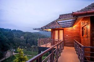Wild Planet, Wayanad