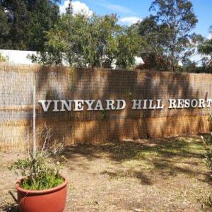 Vineyard Hill