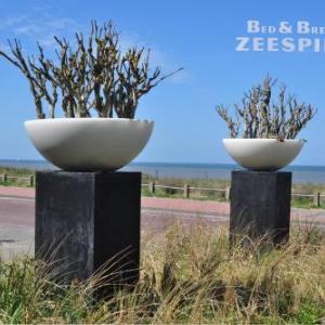 B&B Zeespiegel