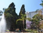 Harare Kutsaga Zimbabwe Hotels - Hyatt Regency Harare, The Meikles
