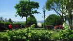 Figline Valdarno Italy Hotels - Park Hotel Galileo