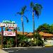 Hotels near Nick's Taste of Texas - Palm Tropics Motel