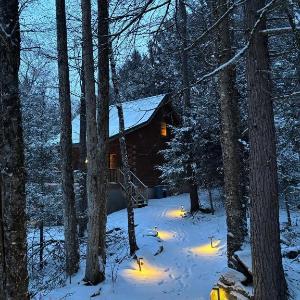 Waterfront Secluded Log Cabin