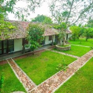The Nature Palace Villa
