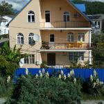 Yana Guest house Sochi