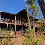 A Beary Good Time Sevierville Tennessee