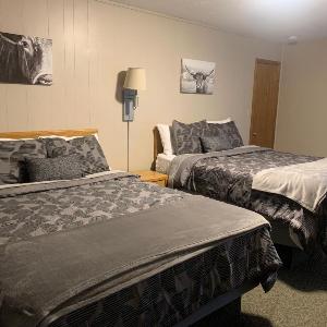 Springs Motel
