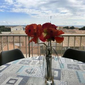 SP300-133 Appartement 2 pièces SAINT PIERRE LA MER