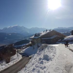 La Joubarbe au Balcon du Mont-Blanc