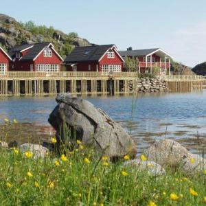 Lofoten Rorbusuiter