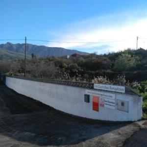 Los Guanches Bungalows