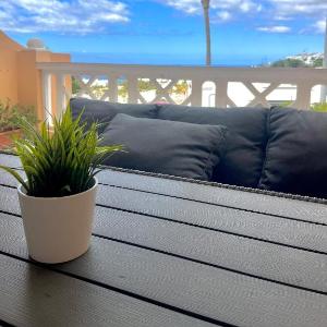 Palm Vista