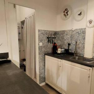 Studio 2/4 pers proche centre et télécabine - FR-1-234-334