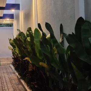 Kubu Sera Guest House