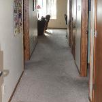 2 Bedroom Condo Duck Lake Eagle River Wisconsin