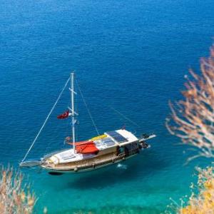 Blue Cruise