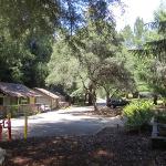 Big Sur Lodge