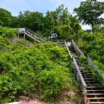 The Bott Cott: Cozy 3-Bedroom Retreat in Grand Haven Grand Haven