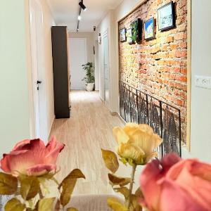 Elia Apartment