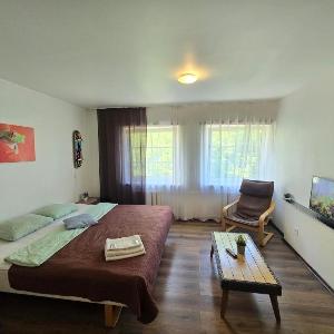 Z14 River studio apartment