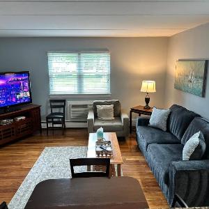 Comfy 2 BR Mid Term Apartment