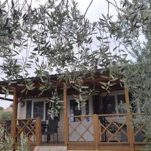 Apartments with hot tub Pakostane Biograd - 23865