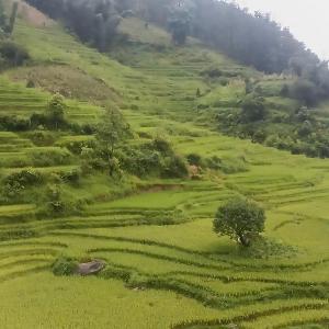 Homestay Nui Da Ta Phin