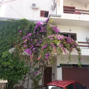 Apartment Zvone