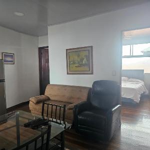Bright and central apartment near Plaza del Sol L101