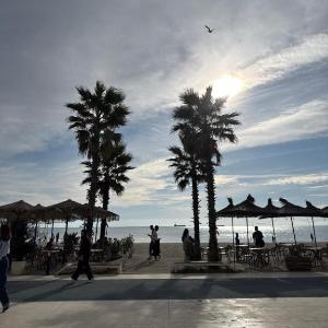 R&M Apartment one bedroom seafront