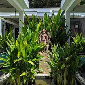 Compact Unique Villa-Three Bedroom- Siem Reap Angkor