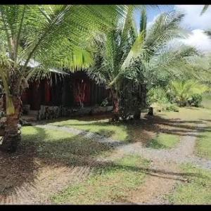 su cabaña Río Celeste