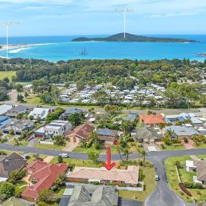 Fingal Palms