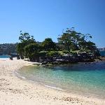 The Sunlit Fern - Minutes from Dining & Coastline Sydney