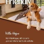 Suites e Chales petfriendly com ar hidro e lareira