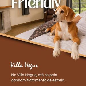 Suites e Chales petfriendly com ar hidro e lareira