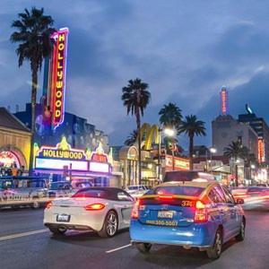 Los Angeles Cozy Vibe
