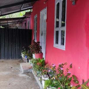 Royal villa Homestay