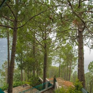 Apts Kasauli