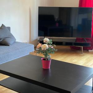 M5 CITY CENTER OSLO 110 mt 3 BEDROOMS 2 TOILETTE 120 MT