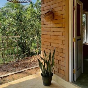 Eco Bricks