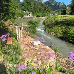 Xiangzixi Homestay-Inside the Park-no queues Enter-English Service-free Tour Itinerary Planning